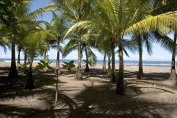 Manuel Antonio Beach