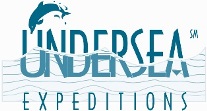 UnderseaX Logo